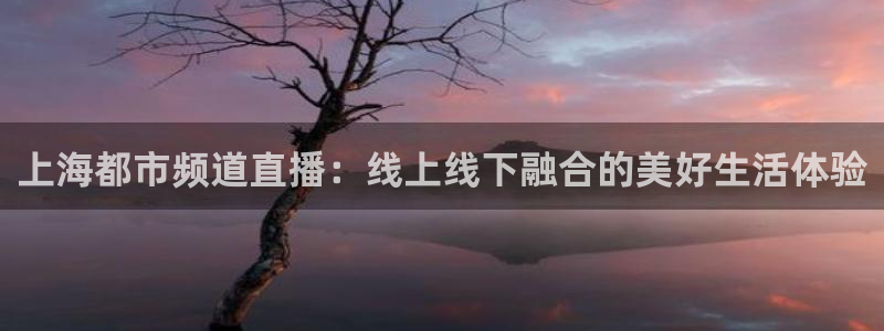 cba直播吧在线观看免费：上海都市频道直播：线上线下融合的美好生活体验