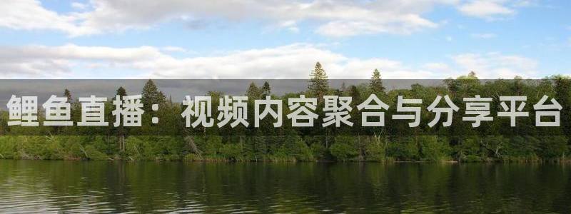 雨燕体育直播吧：鲤鱼直播：视频内容聚合与分享平台
